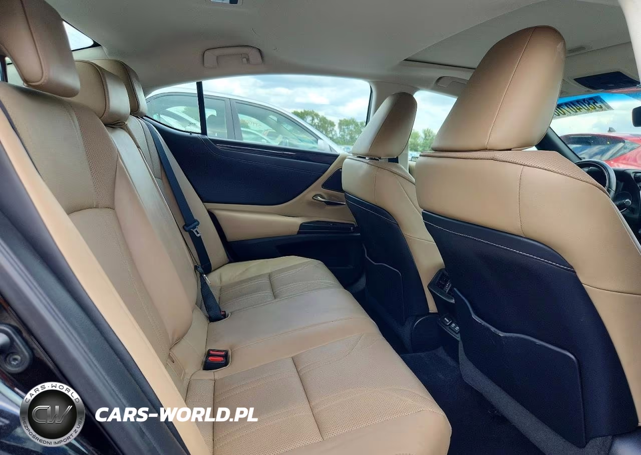2021 Lexus Es 300H Luxury VIN:58AEA1C19MU001812 - 10