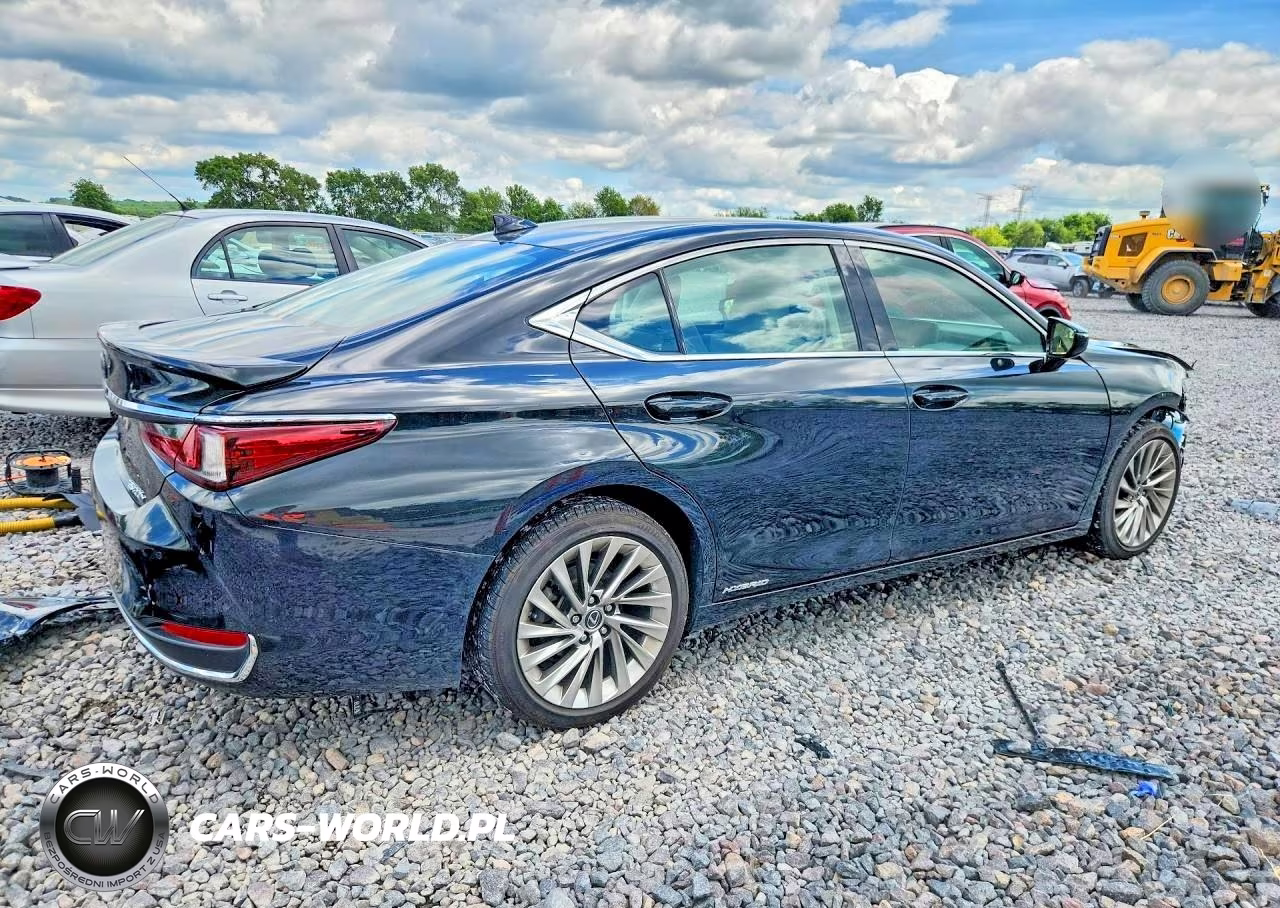 2021 Lexus Es 300H Luxury VIN:58AEA1C19MU001812 - 3