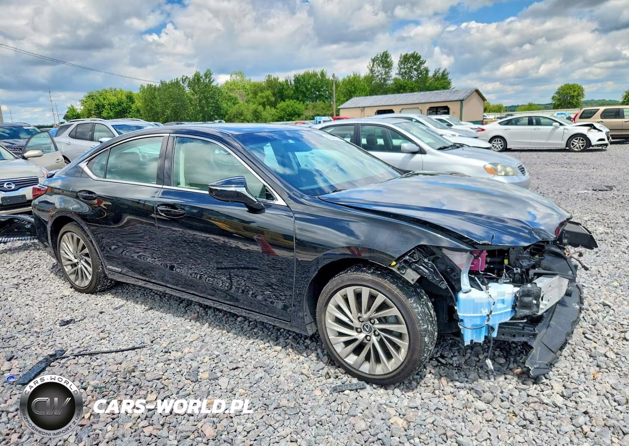 2021 Lexus Es 300H Luxury VIN:58AEA1C19MU001812 - 4