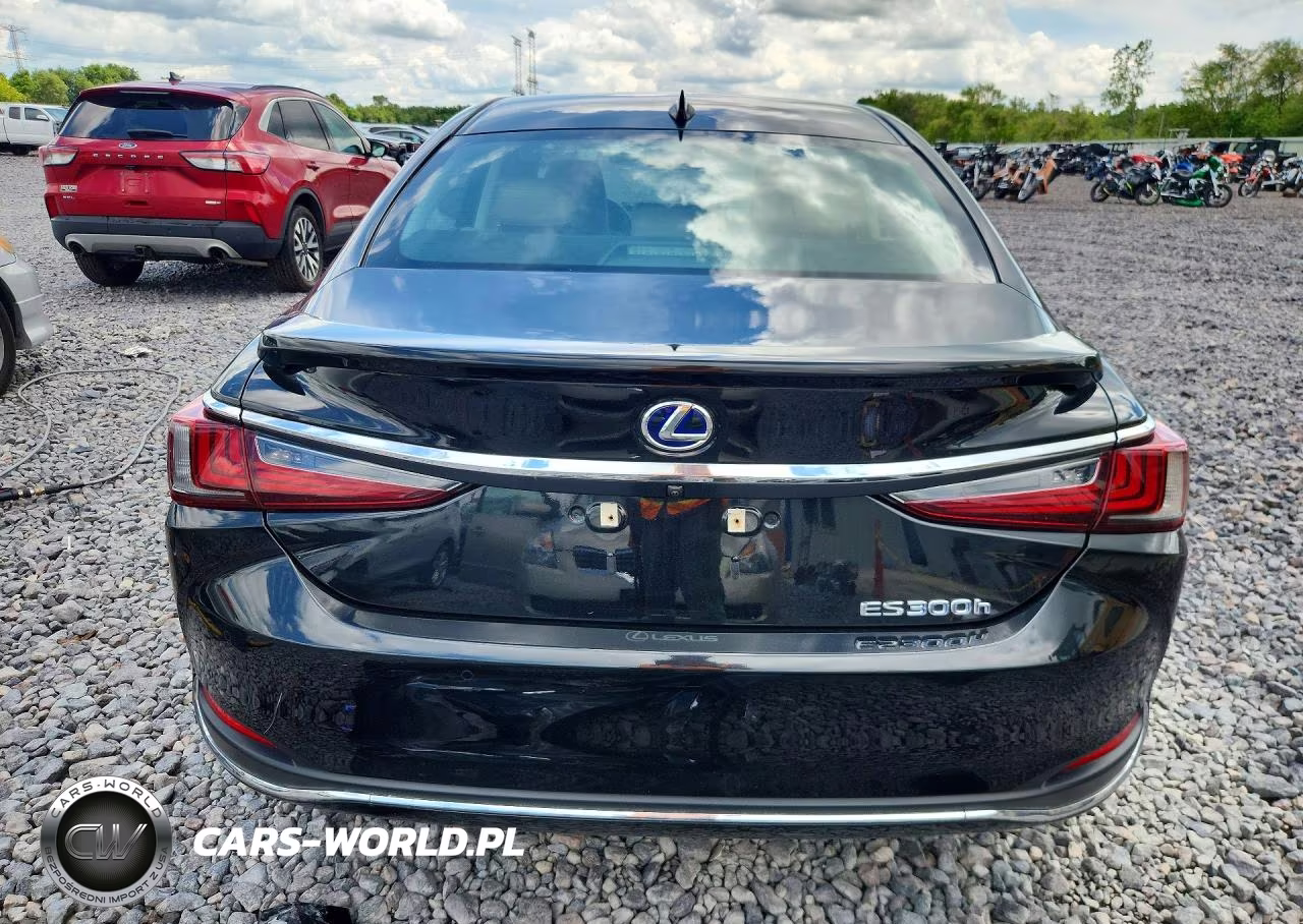 2021 Lexus Es 300H Luxury VIN:58AEA1C19MU001812 - 6