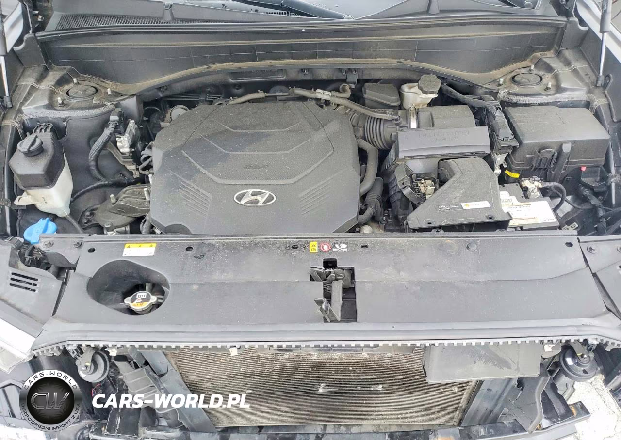 2021 Hyundai Palisade Calligraphy VIN:KM8R7DHE0MU187339 - 12
