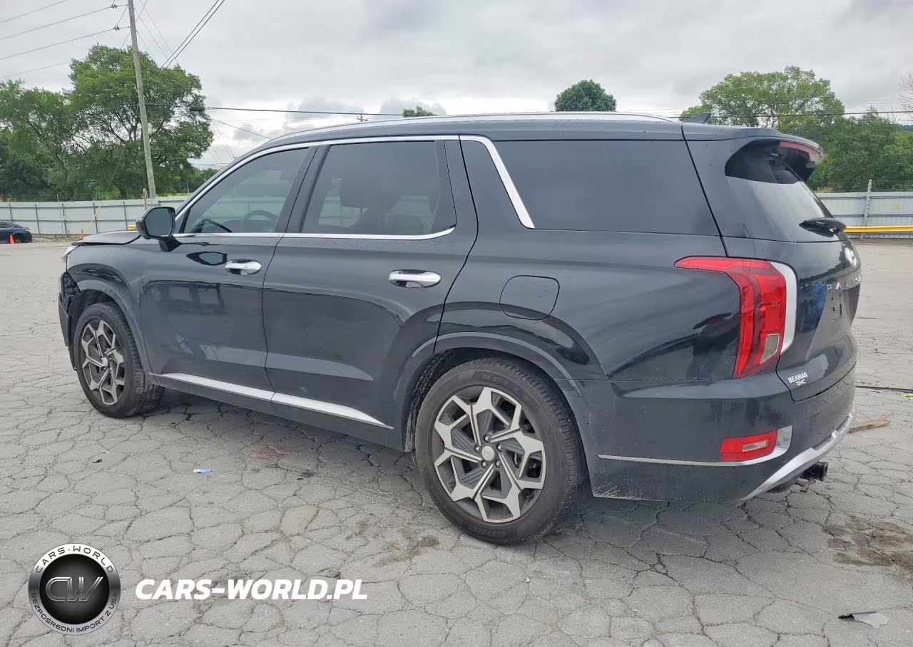 2021 Hyundai Palisade Calligraphy VIN:KM8R7DHE0MU187339 - 2