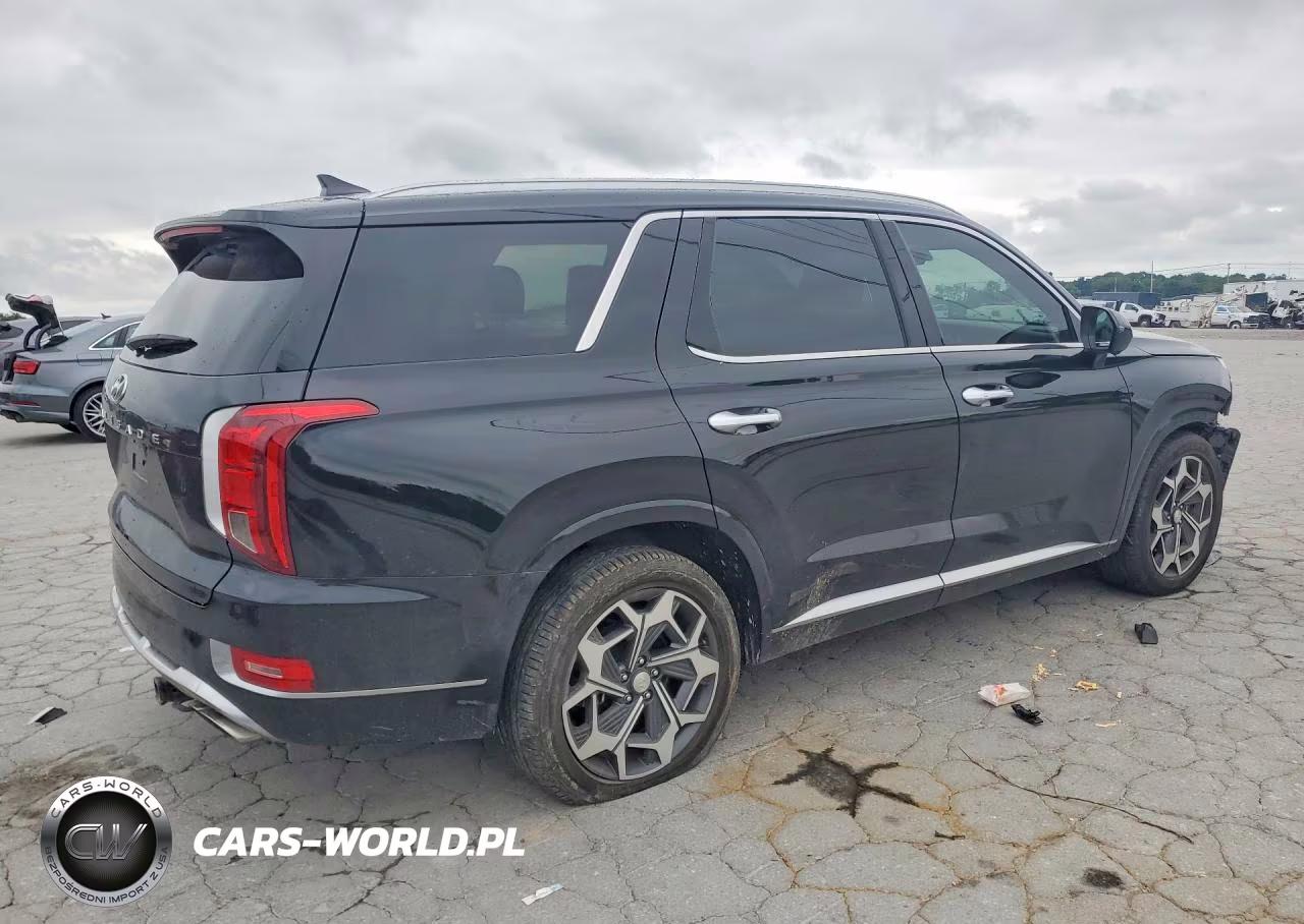 2021 Hyundai Palisade Calligraphy VIN:KM8R7DHE0MU187339 - 3