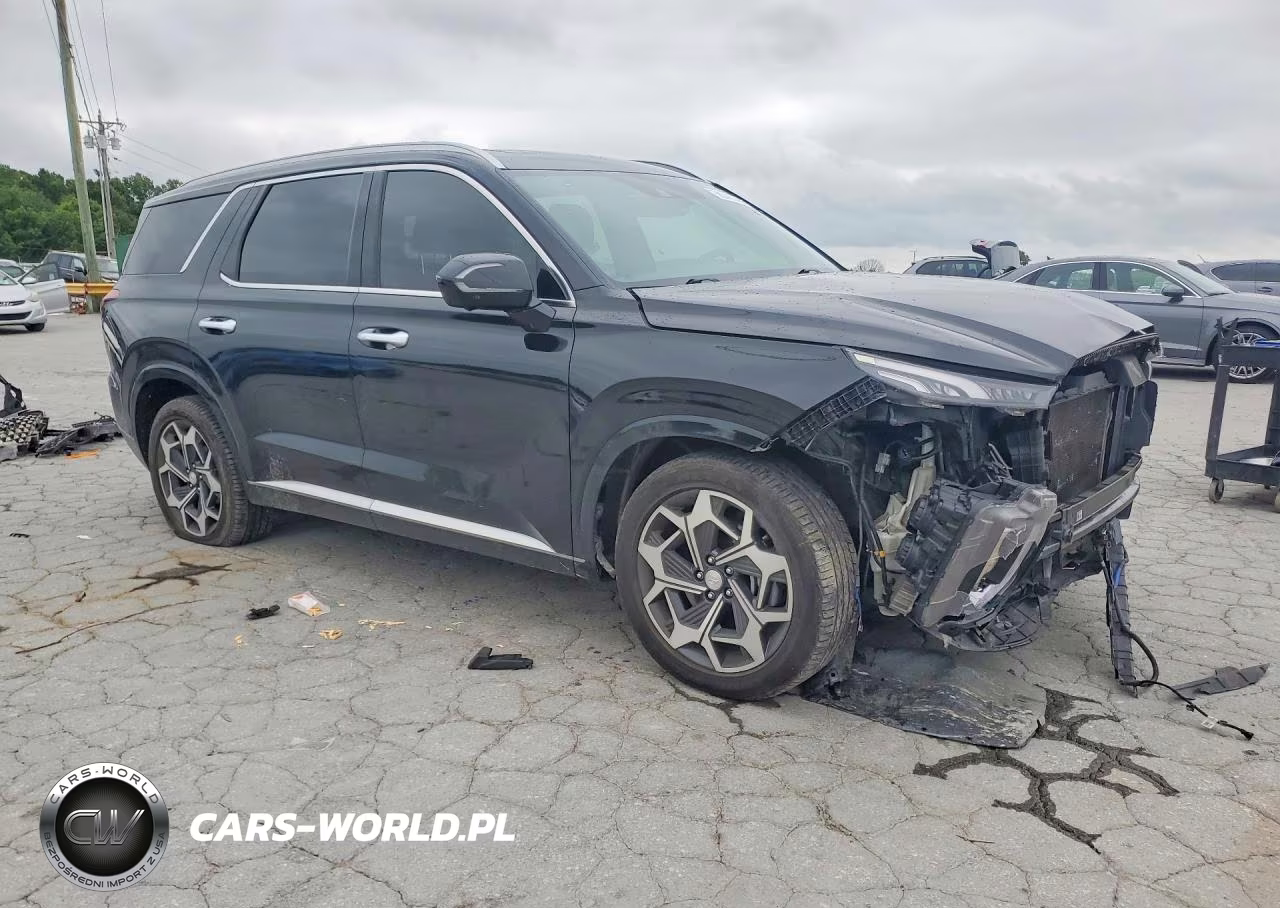 2021 Hyundai Palisade Calligraphy VIN:KM8R7DHE0MU187339 - 4