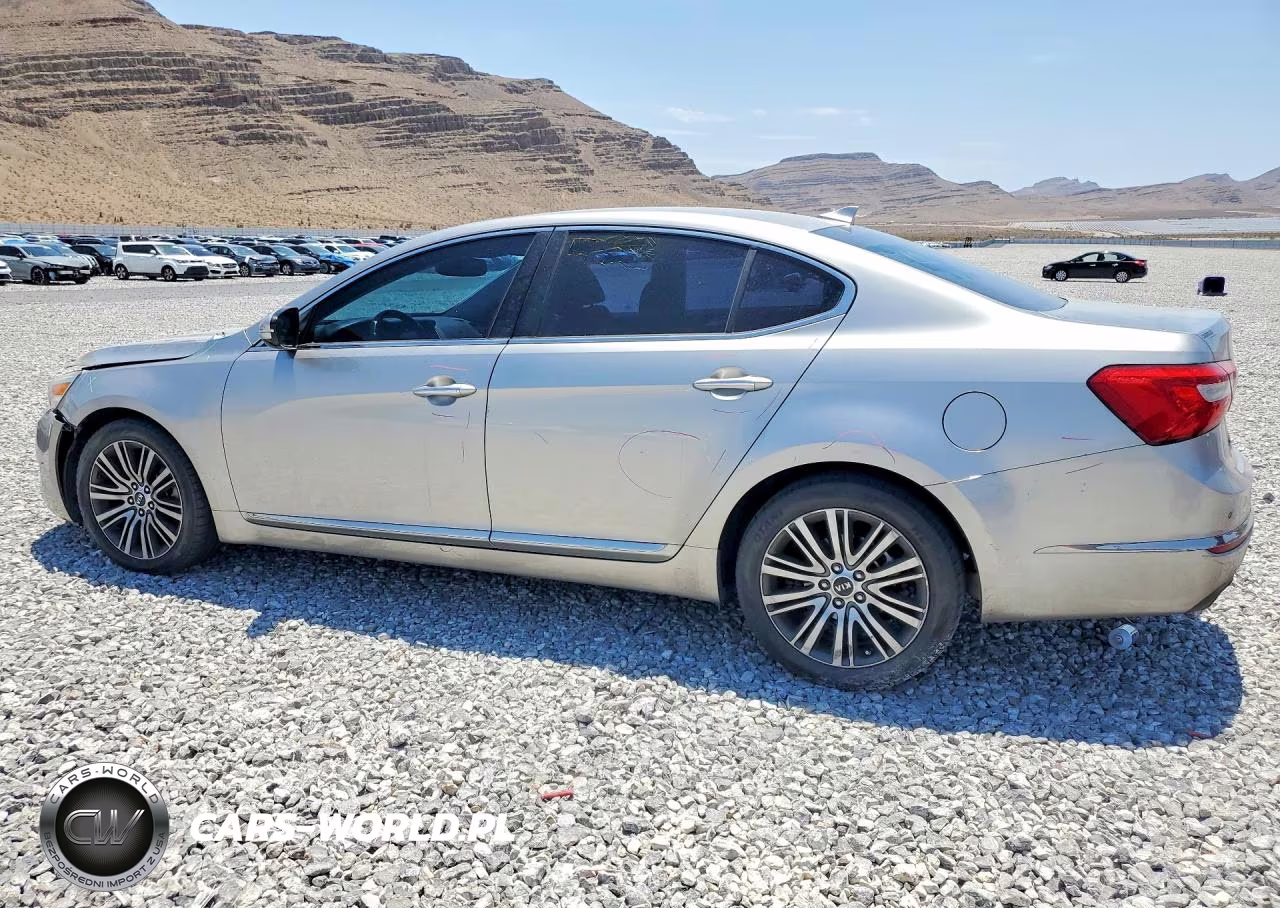 2014 Kia Cadenza Premium VIN:KNALN4D70E5130672 - 2