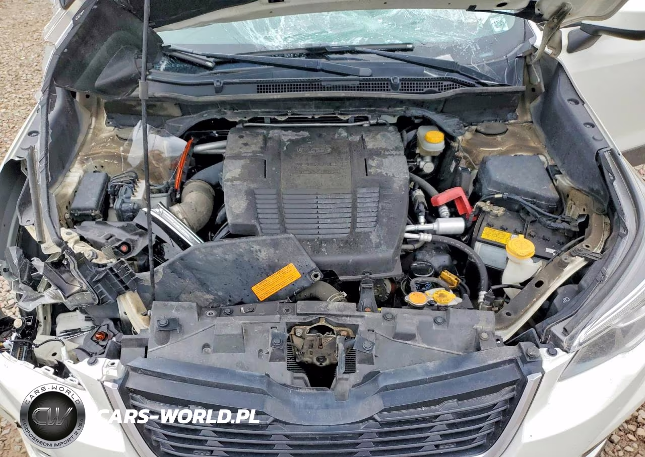 2019 Subaru Forester Premium VIN:JF2SKAEC1KH532147 - 12