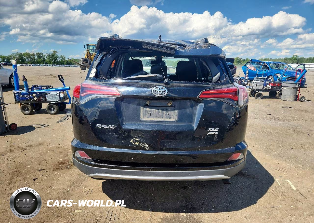 2017 Toyota Rav4 Xle VIN:2T3RFREV4HW643926 - 6