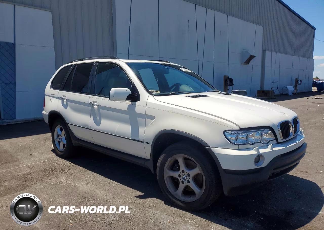 2002 BMW X5 3.0I VIN:5UXFA53502LP38604 - 4