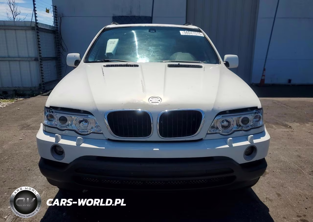 2002 BMW X5 3.0I VIN:5UXFA53502LP38604 - 5
