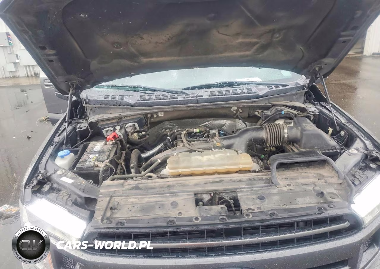 2020 Ford F150 Supercrew VIN:1FTEW1EP1LFA55039 - 11