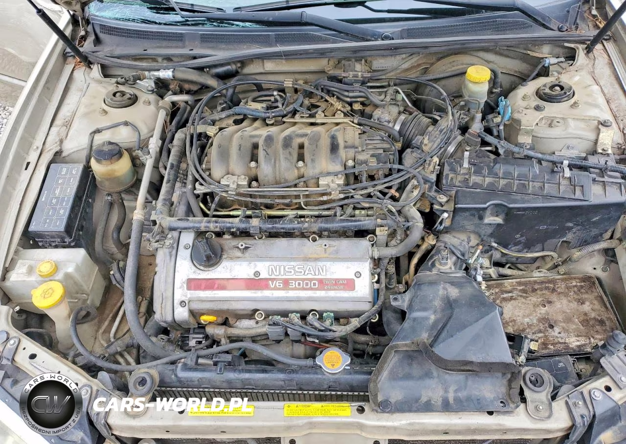 2001 Nissan Maxima Se VIN:JN1CA31D11T834312 - 11