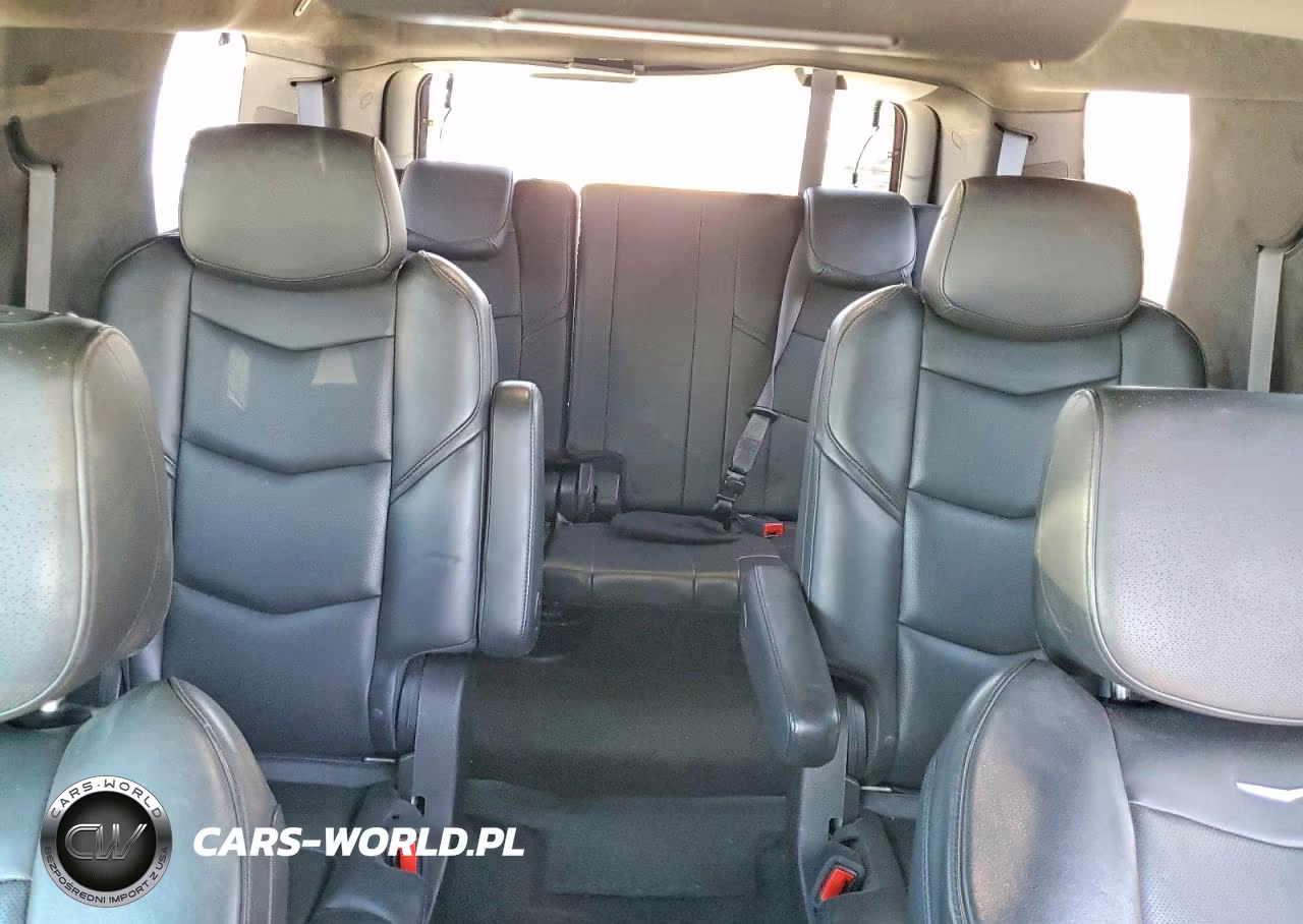 2017 Cadillac Escalade Platinum VIN:1GYS4DKJ5HR373319 - 10