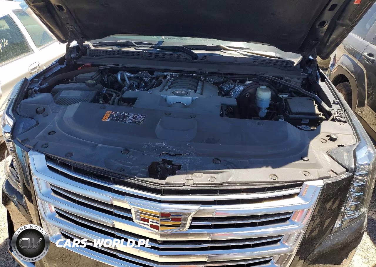 2017 Cadillac Escalade Platinum VIN:1GYS4DKJ5HR373319 - 12