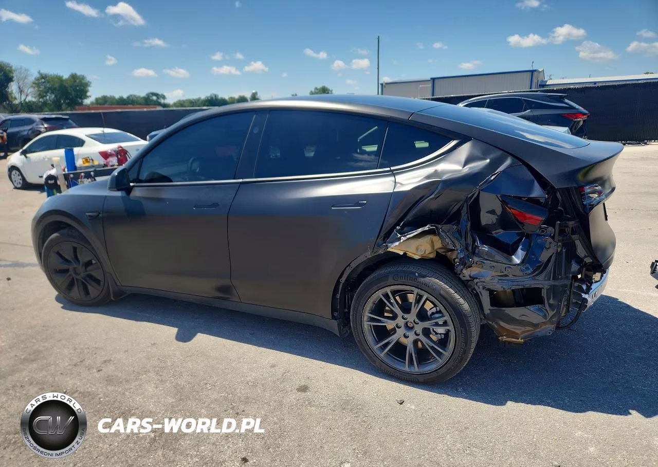 2024 Tesla Model Y VIN:7SAYGAEE2RF186506 - 2