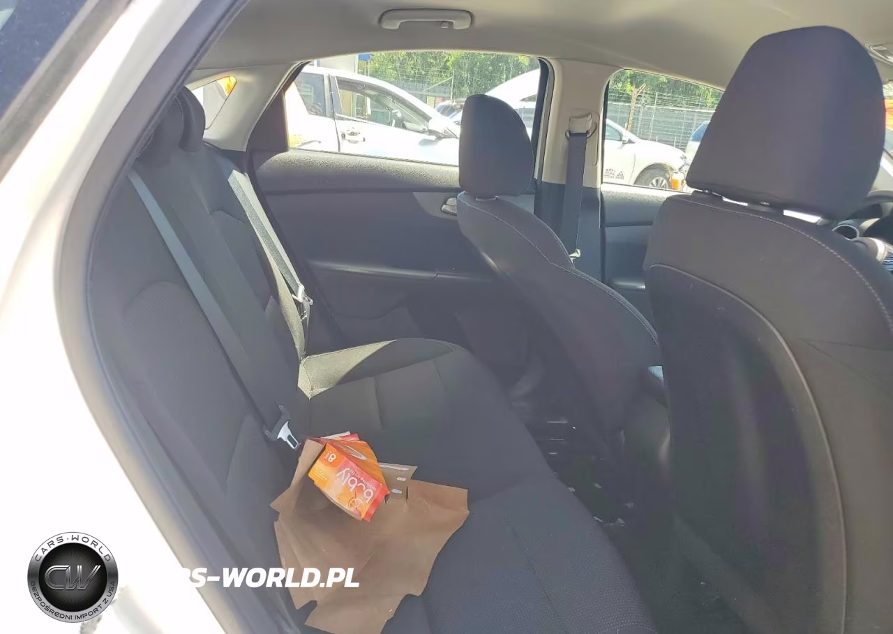2019 Kia Forte Fe VIN:3KPF24AD7KE047114 - 10