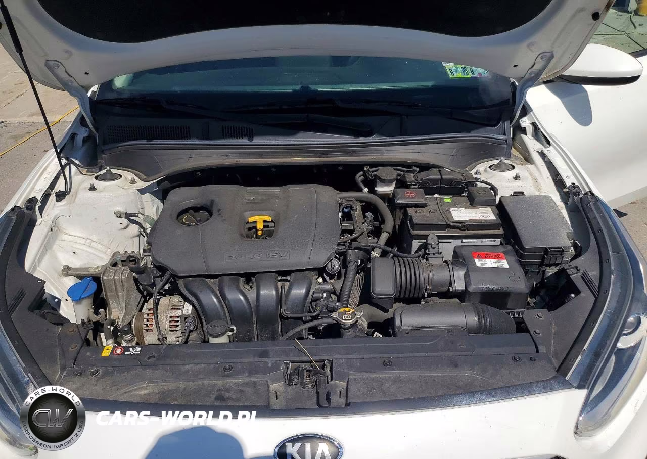2019 Kia Forte Fe VIN:3KPF24AD7KE047114 - 11