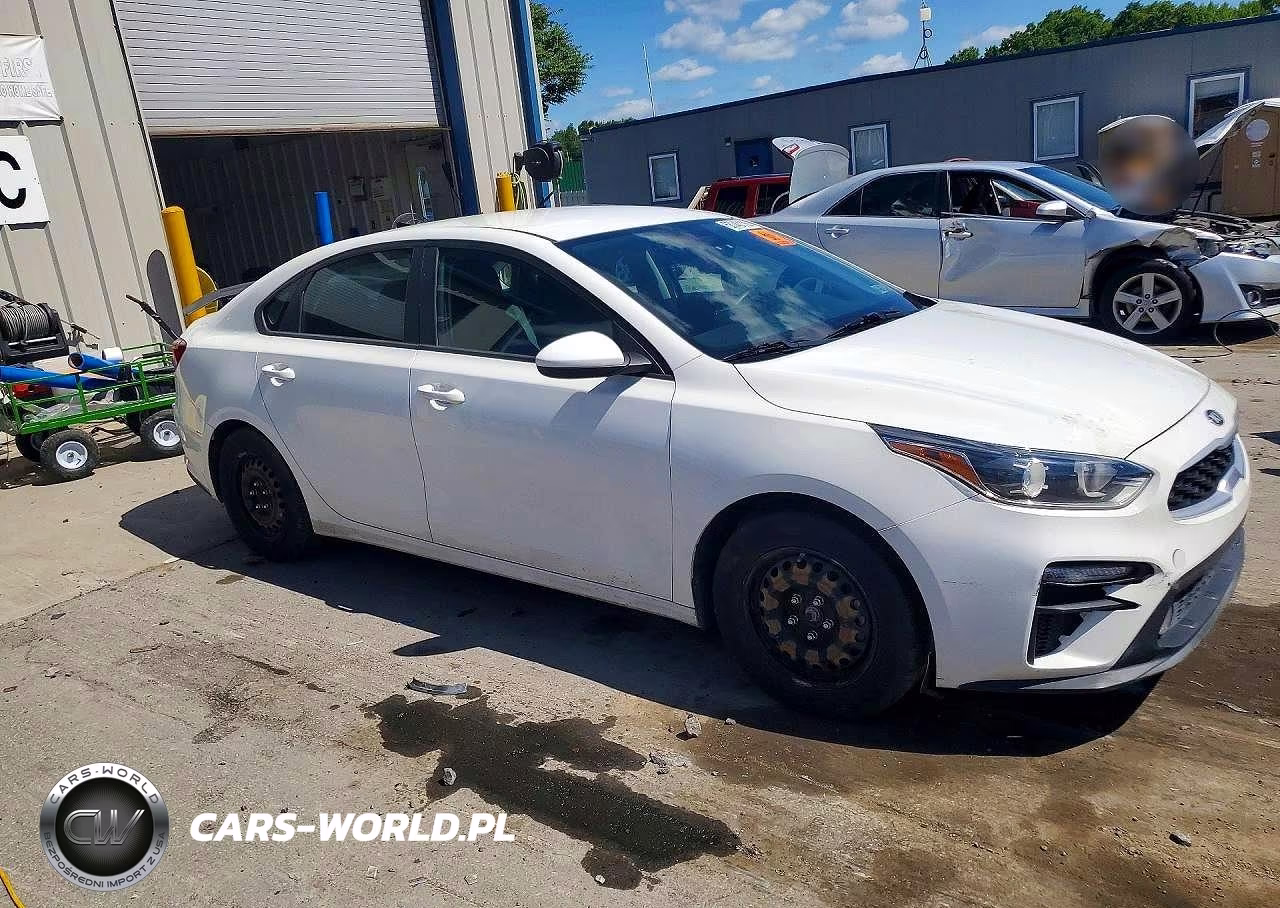 2019 Kia Forte Fe VIN:3KPF24AD7KE047114 - 4