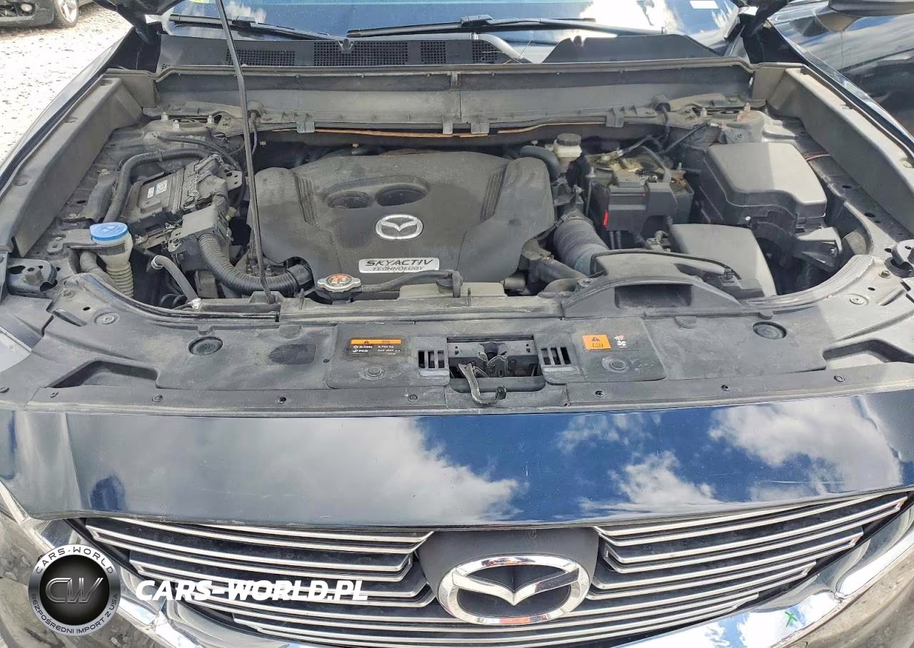 2016 Mazda Cx-9 Touring VIN:JM3TCBCY1G0109893 - 12