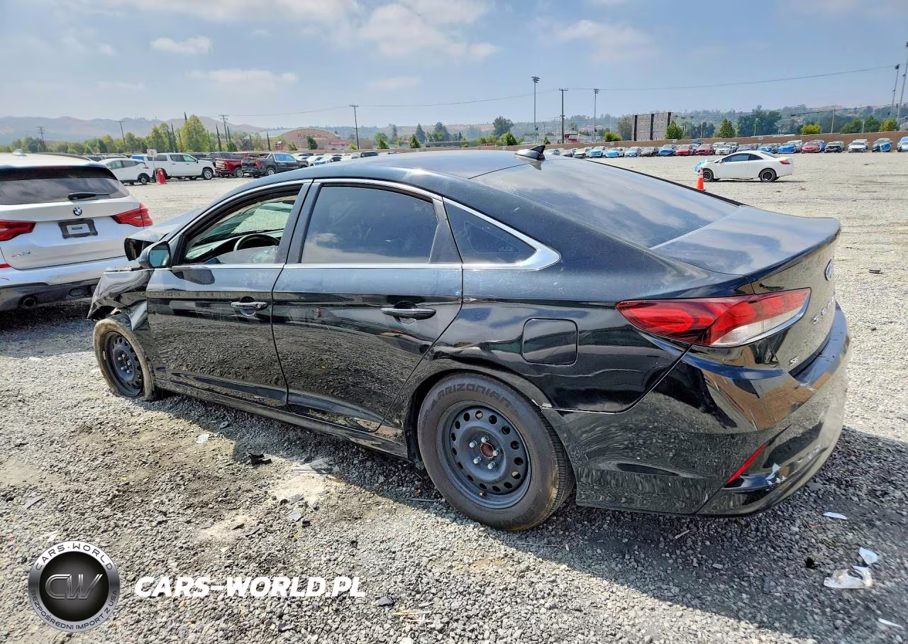 2019 Hyundai Sonata Se VIN:5NPE24AF0KH755679 - 2