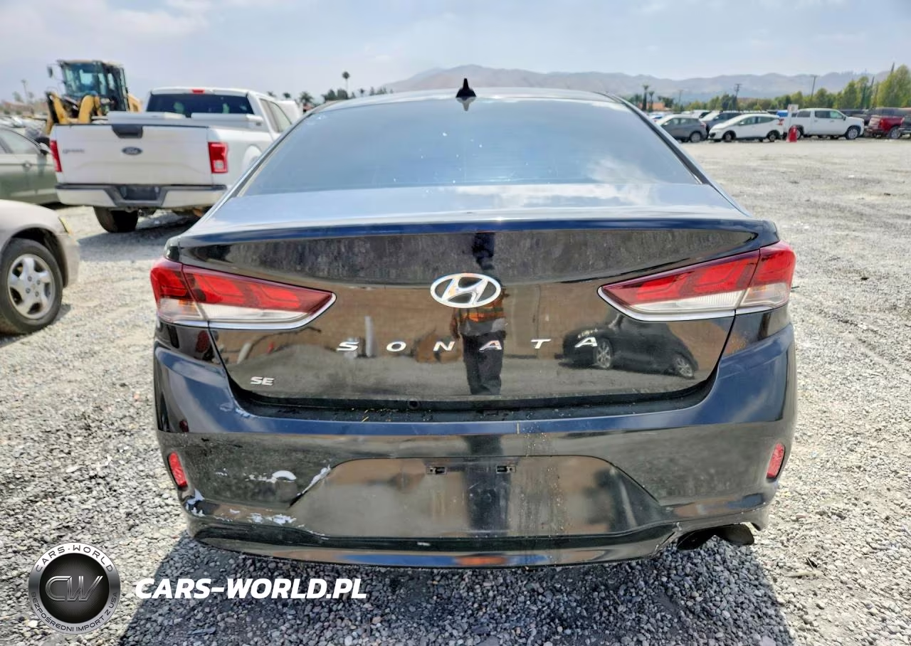 2019 Hyundai Sonata Se VIN:5NPE24AF0KH755679 - 6