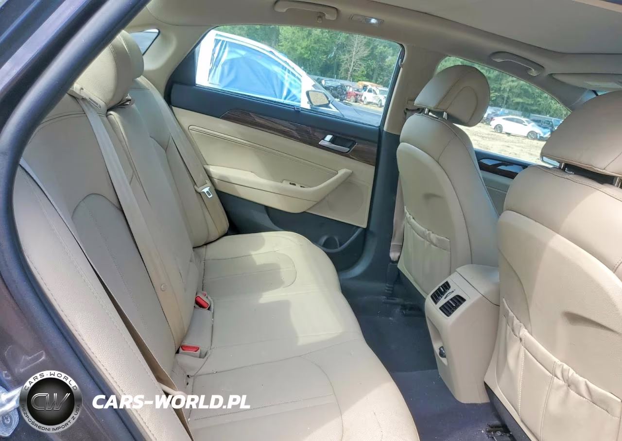 2016 Hyundai Sonata Limited VIN:5NPE34AF9GH425687 - 10