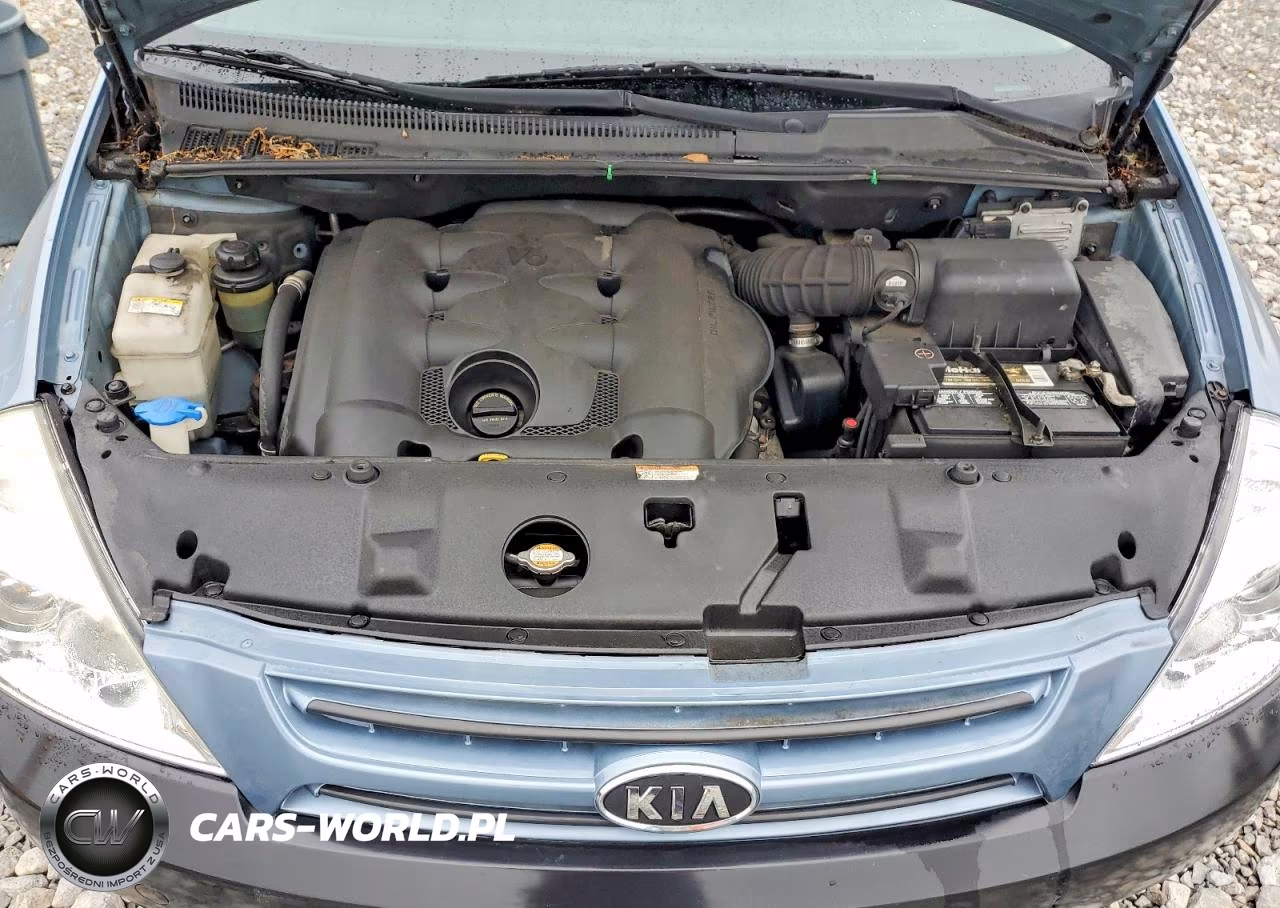 2008 Kia Sedona Lx VIN:KNDMB233186240826 - 12