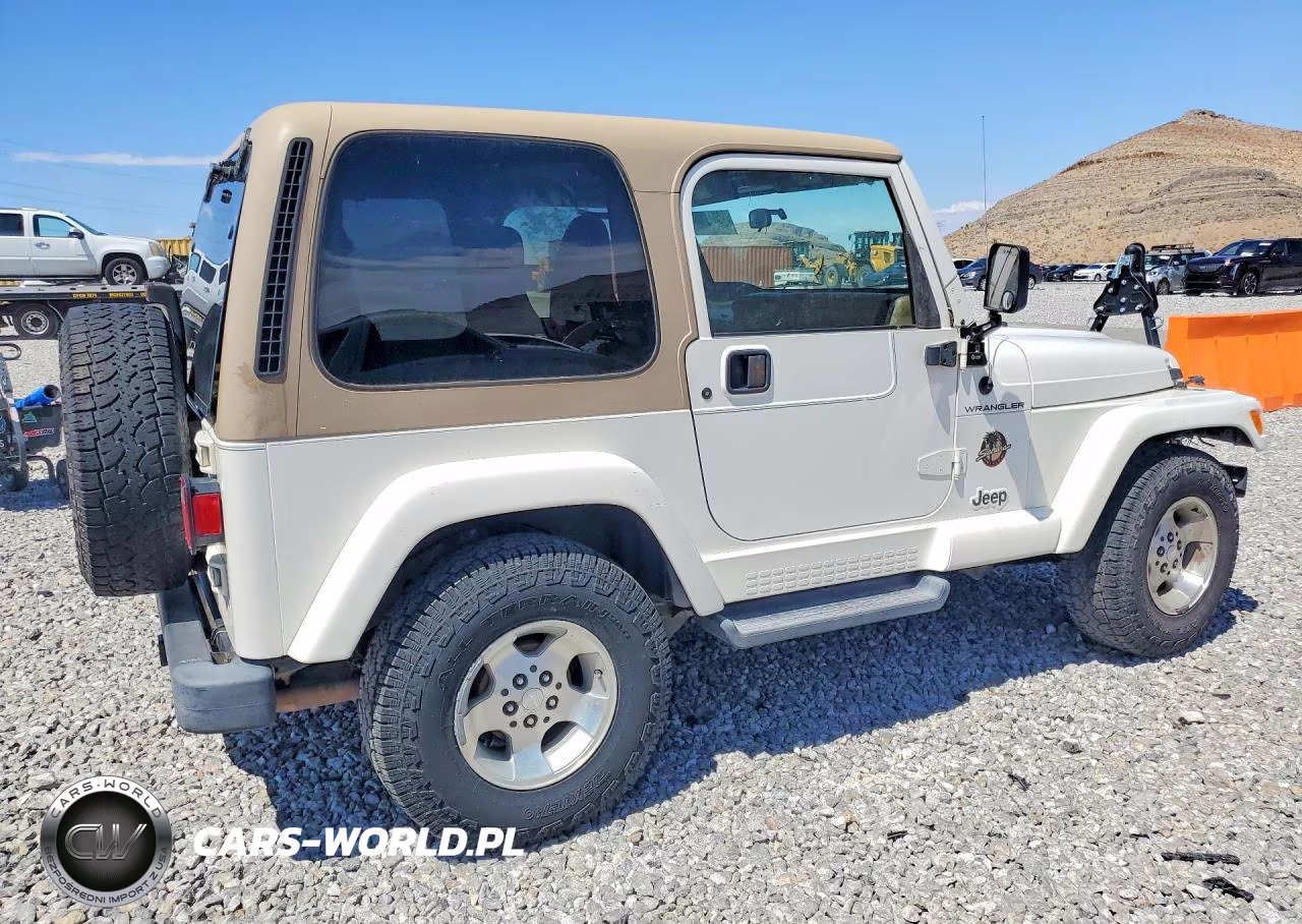 2002 Jeep Wrangler - Tj Sahara VIN:1J4FA59S12P768194 - 3