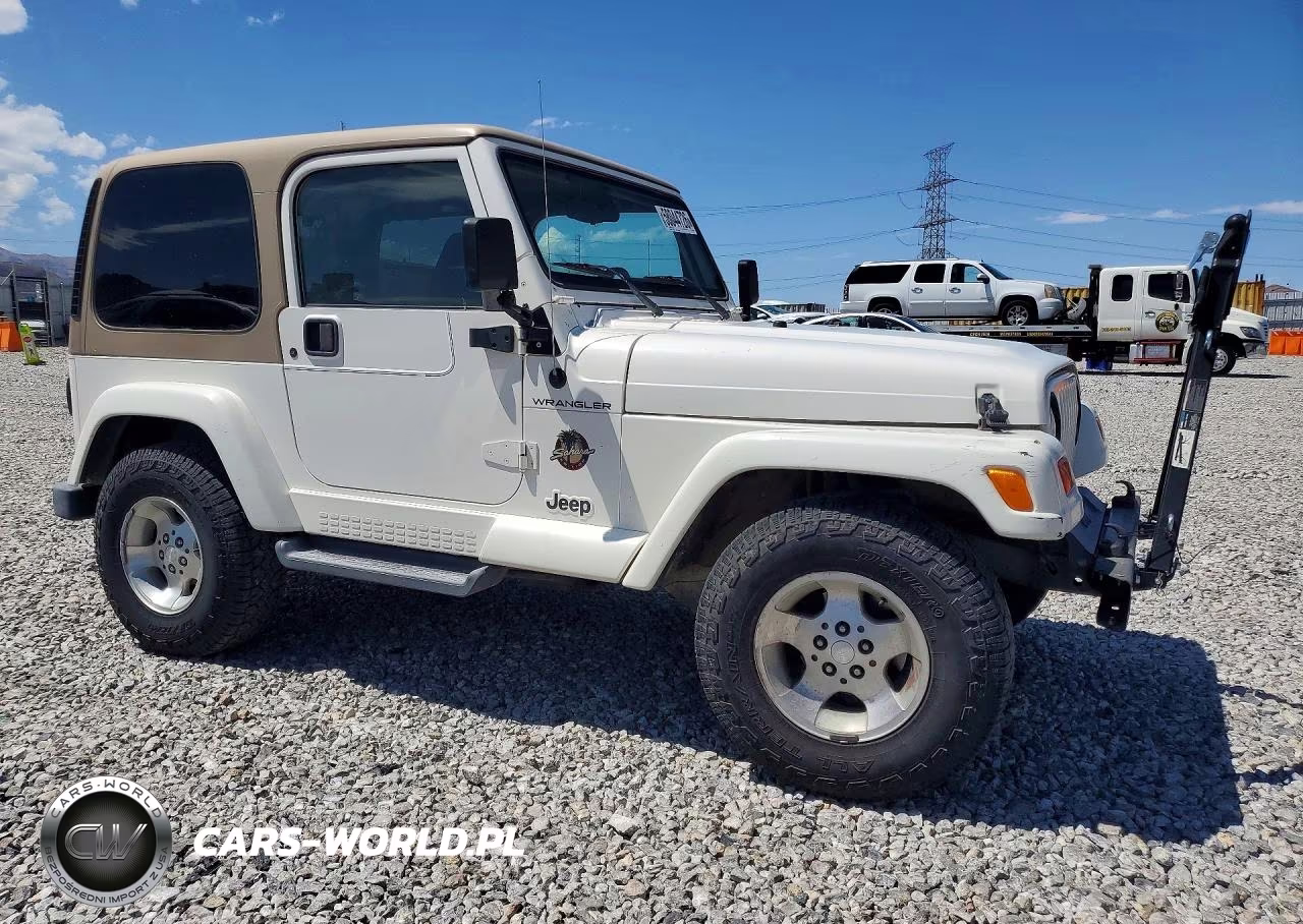 2002 Jeep Wrangler - Tj Sahara VIN:1J4FA59S12P768194 - 4
