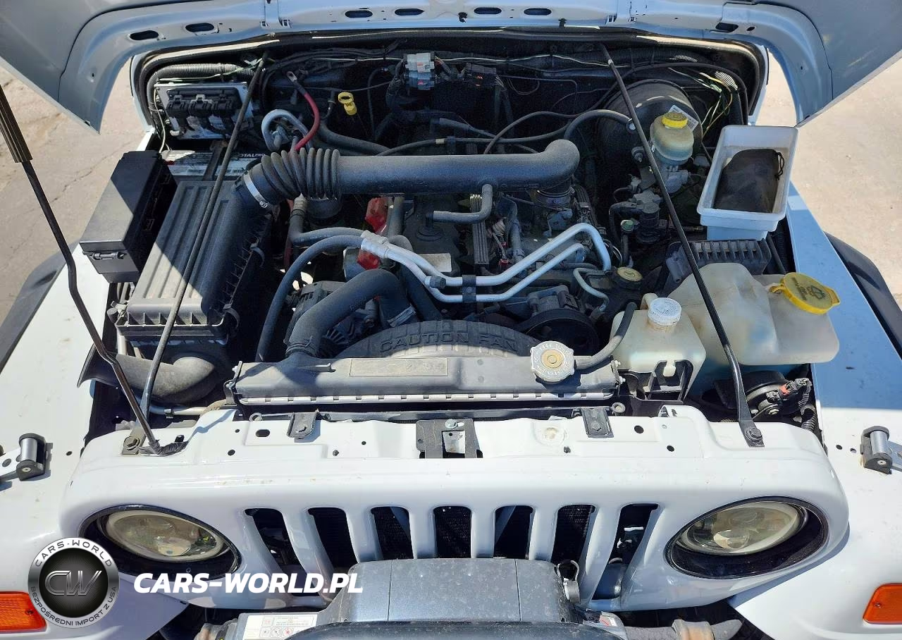 2004 Jeep Wrangler X VIN:1J4FA39S94P700586 - 11