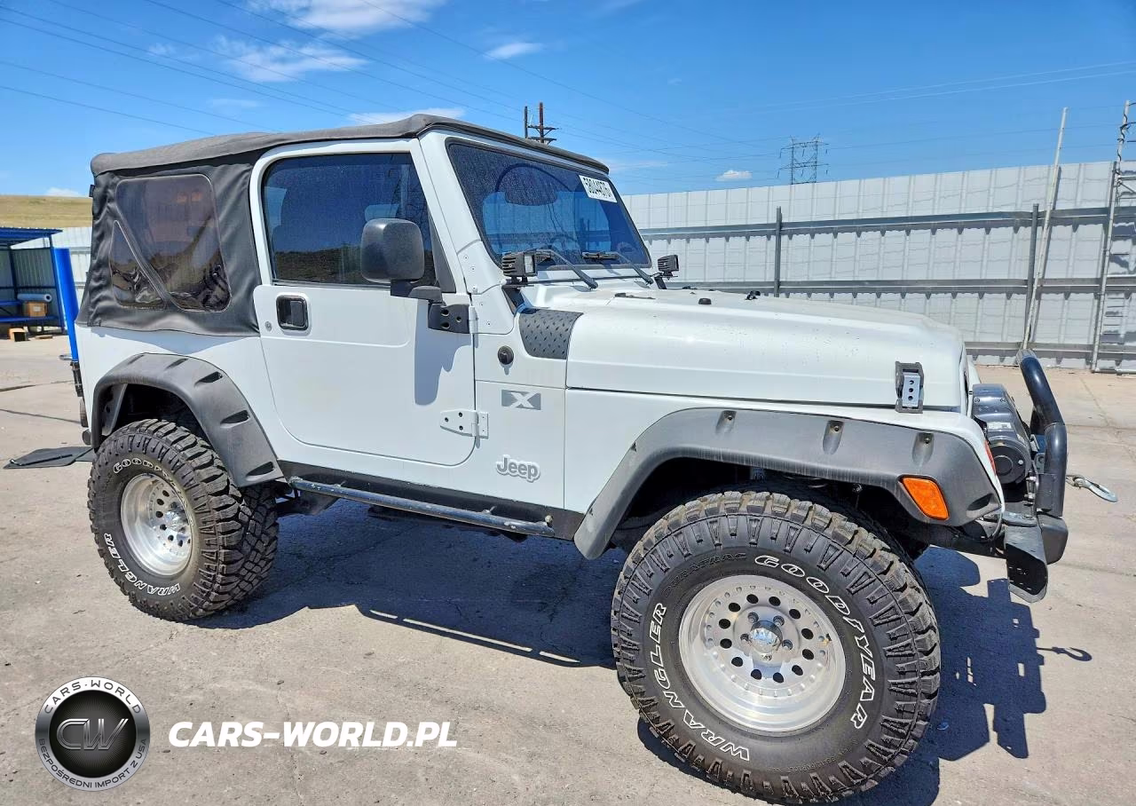 2004 Jeep Wrangler X VIN:1J4FA39S94P700586 - 4