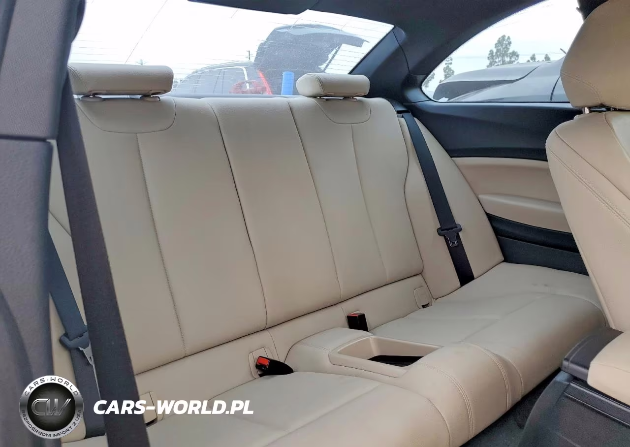 2016 BMW 228I VIN:WBA1F9C54GV545580 - 10