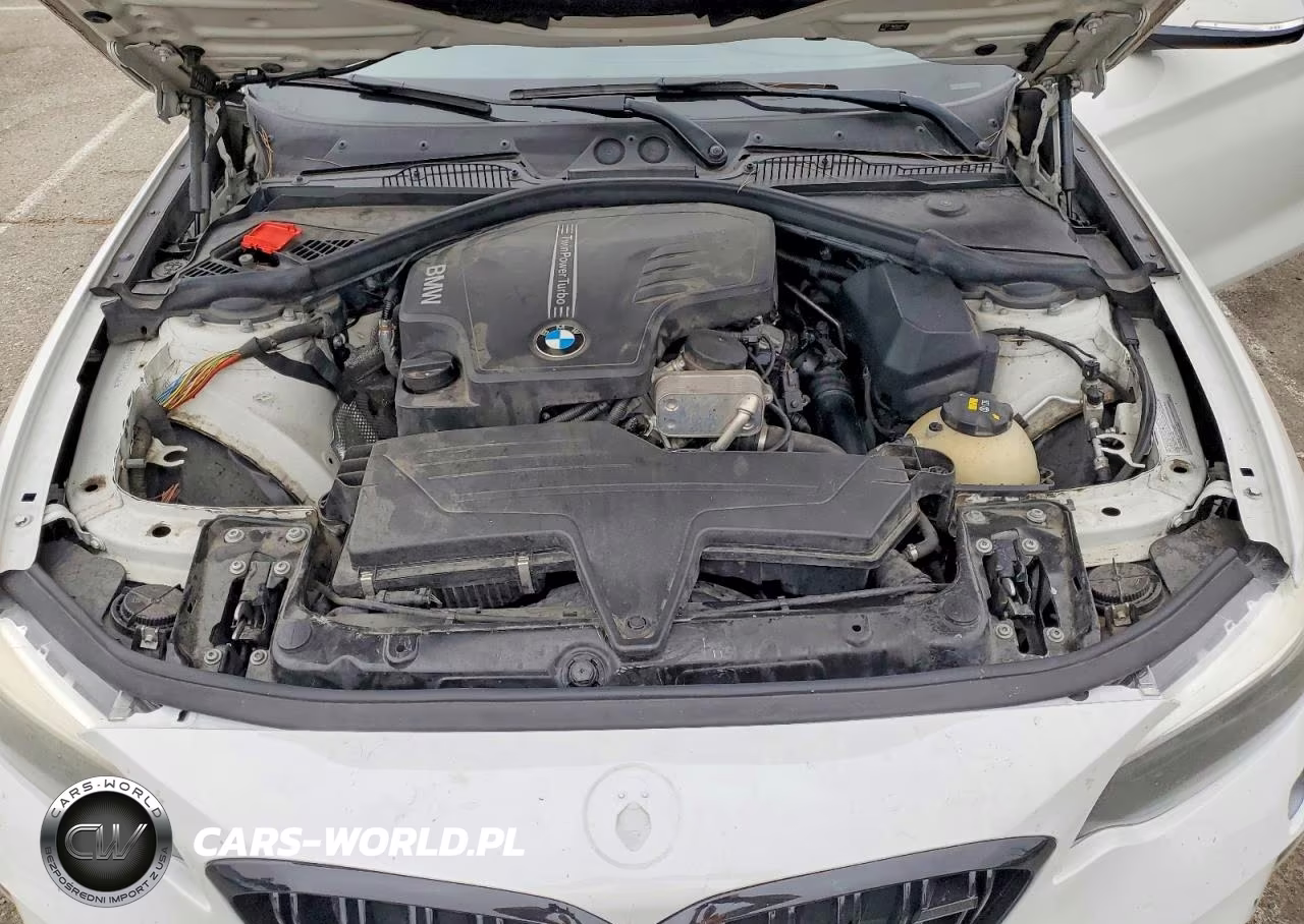 2016 BMW 228I VIN:WBA1F9C54GV545580 - 11