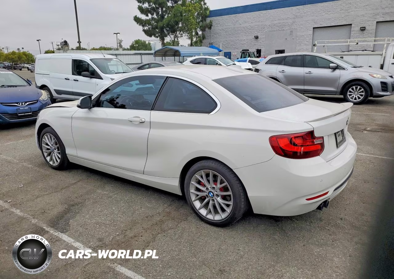 2016 BMW 228I VIN:WBA1F9C54GV545580 - 2