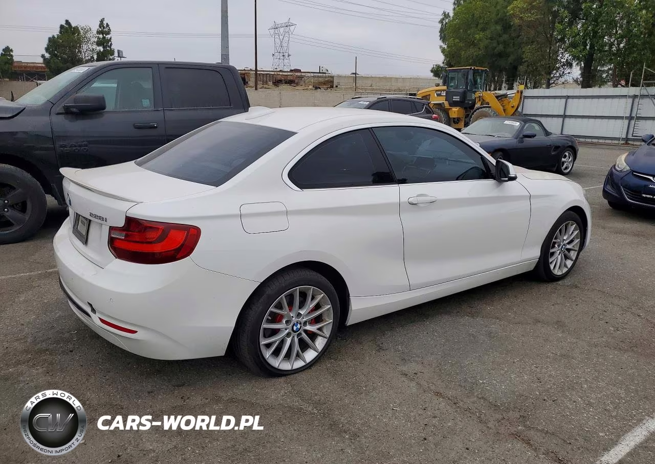 2016 BMW 228I VIN:WBA1F9C54GV545580 - 3