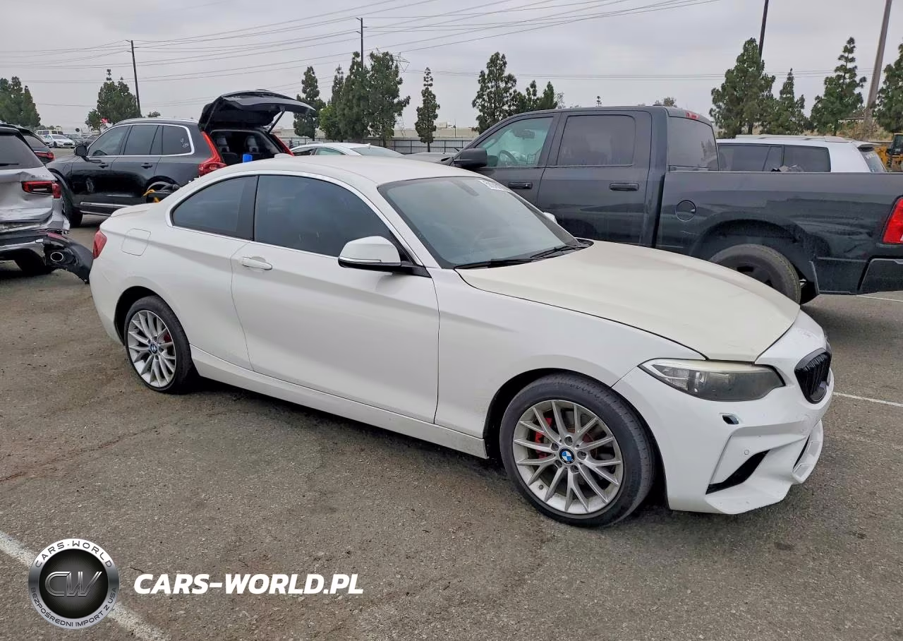 2016 BMW 228I VIN:WBA1F9C54GV545580 - 4