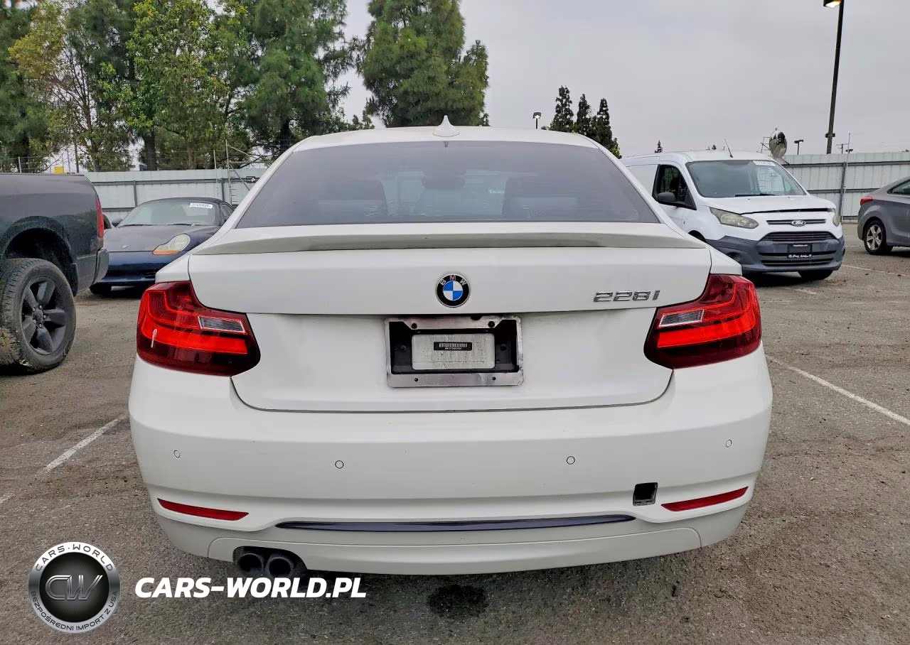 2016 BMW 228I VIN:WBA1F9C54GV545580 - 6