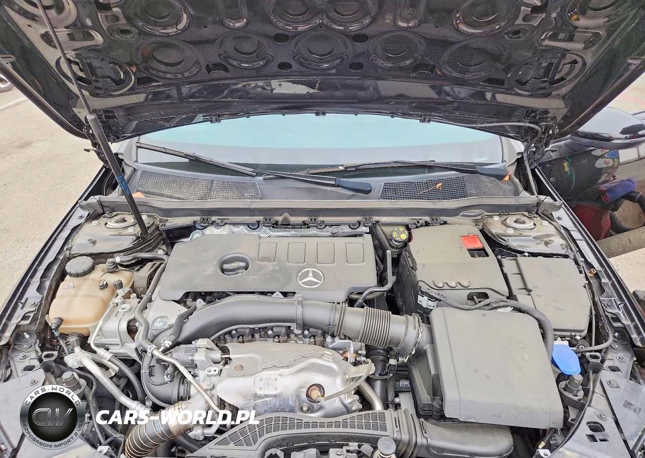 2019 Mercedes-Benz A 220 VIN:WDD3G4EB6KW028482 - 11