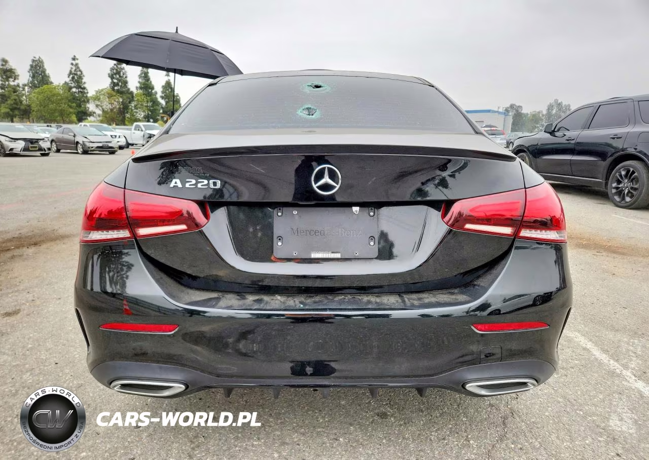 2019 Mercedes-Benz A 220 VIN:WDD3G4EB6KW028482 - 6