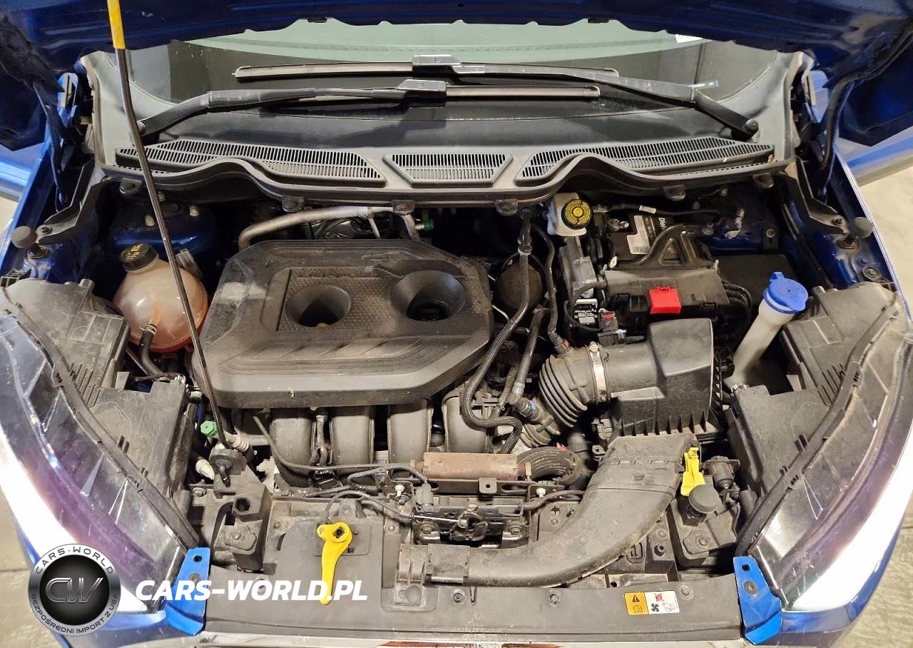 2019 Ford Ecosport Titanium VIN:MAJ6S3KLXKC299341 - 12