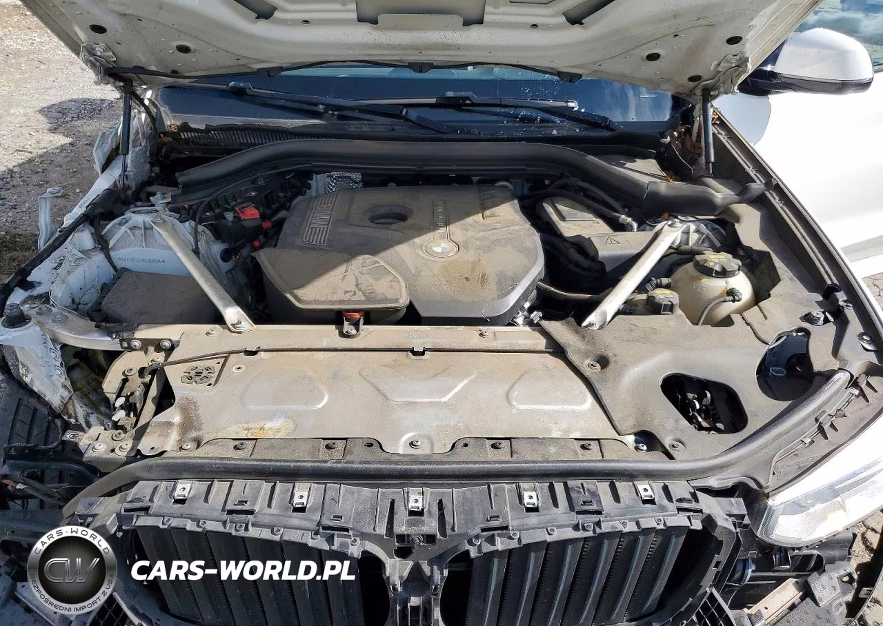 2019 BMW X3 Sdrive30I VIN:5UXTR7C57KLR48804 - 12