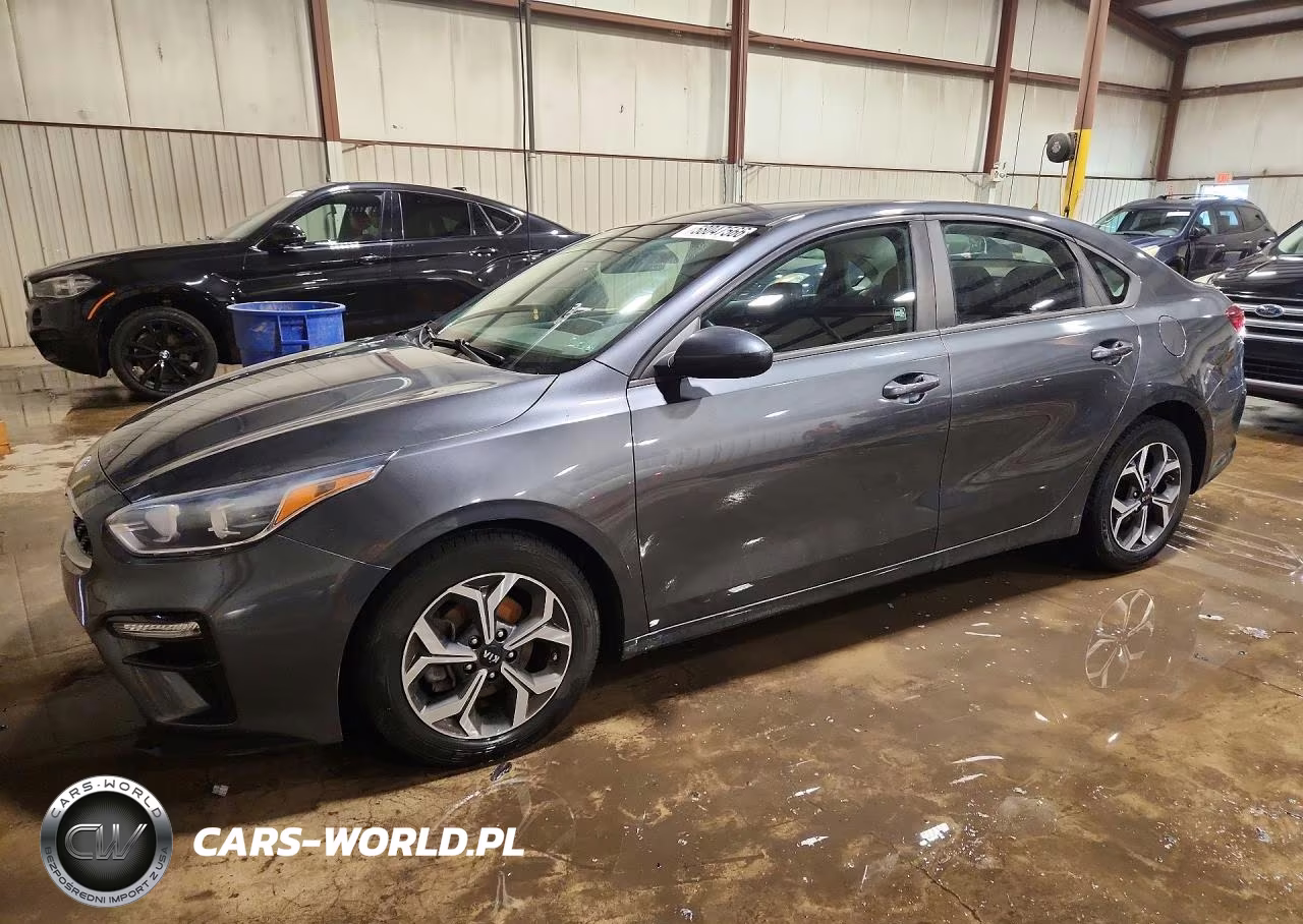 2019 Kia Forte Lxs