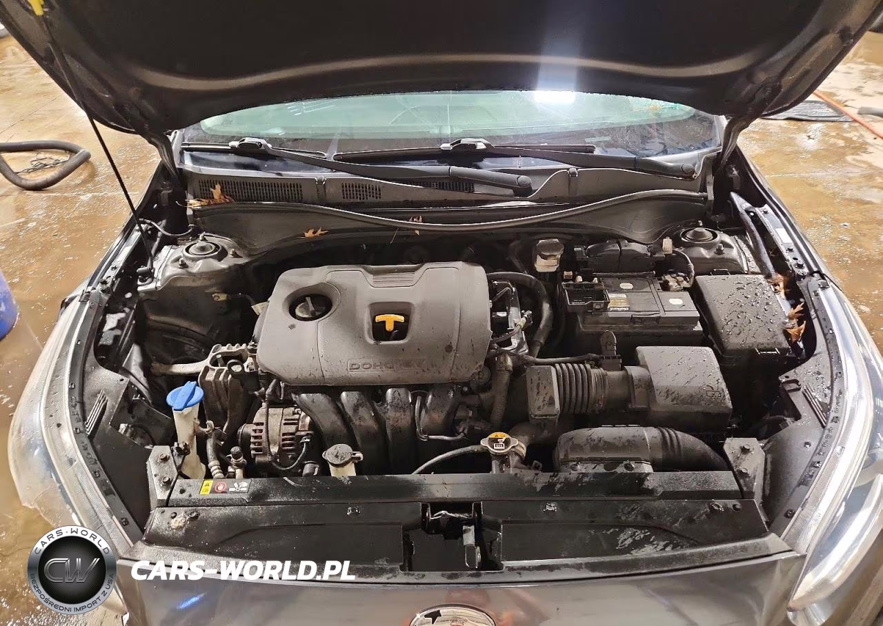 2019 Kia Forte Lxs VIN:3KPF24AD9KE005172 - 11
