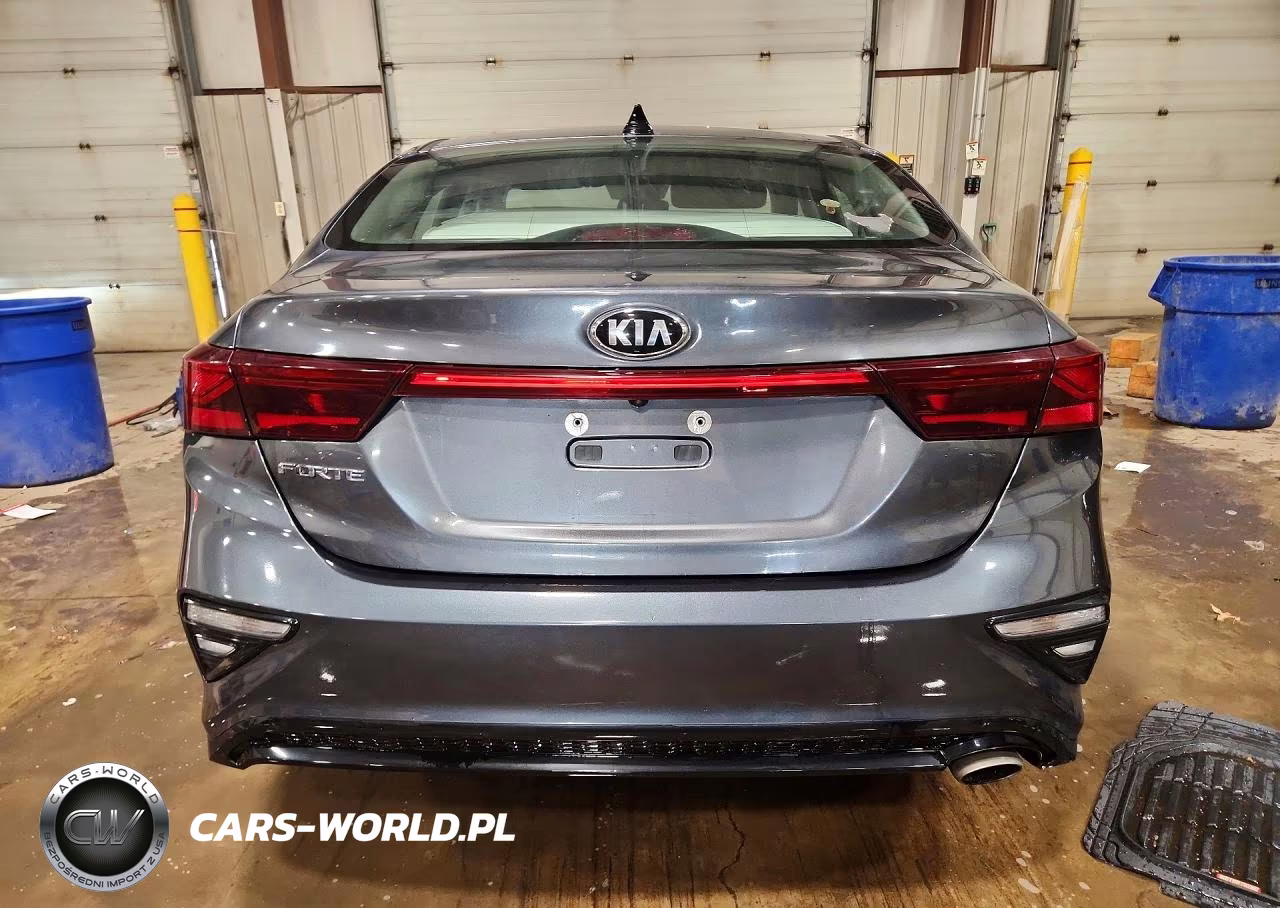 2019 Kia Forte Lxs VIN:3KPF24AD9KE005172 - 6