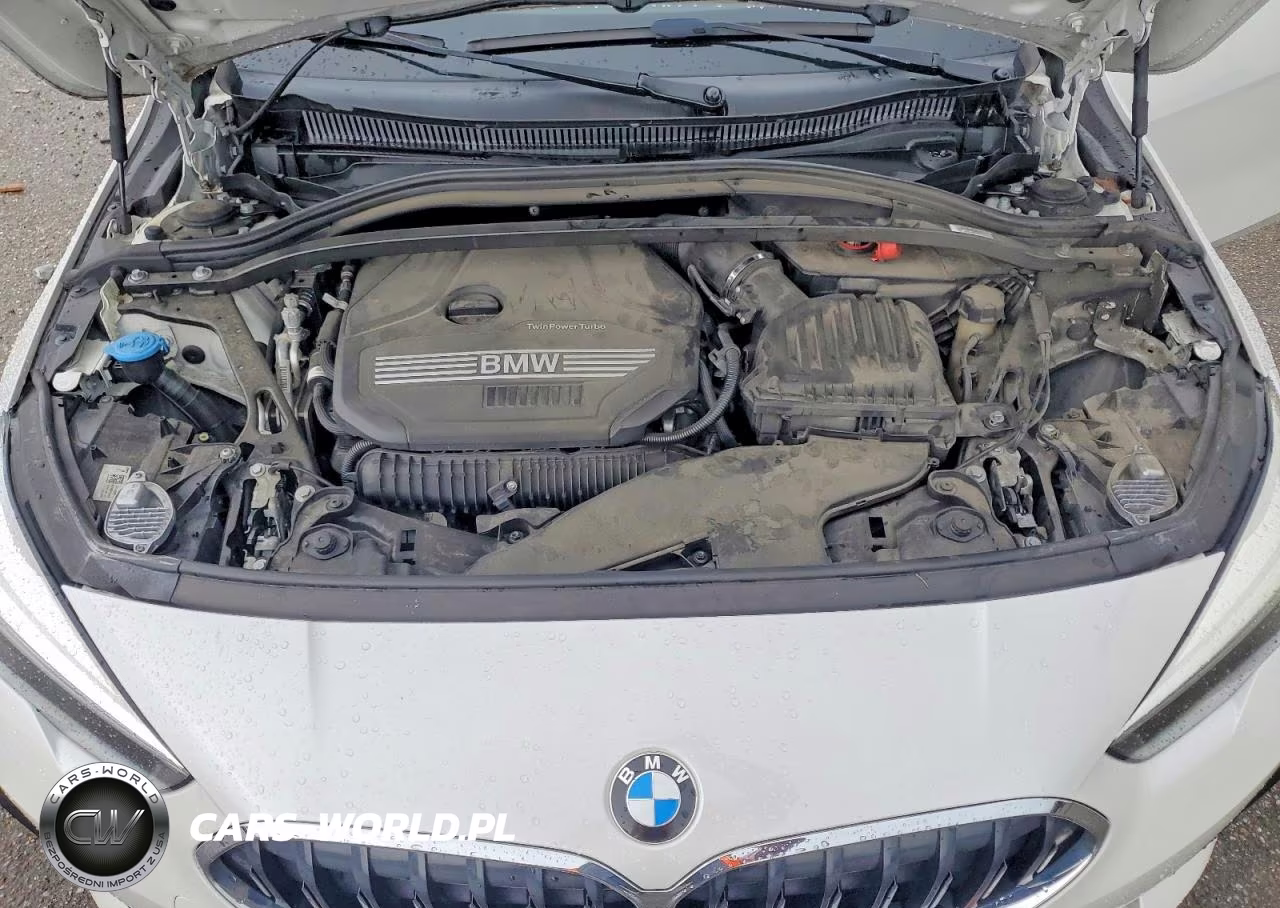 2021 BMW 228I VIN:WBA53AK08M7J56457 - 11