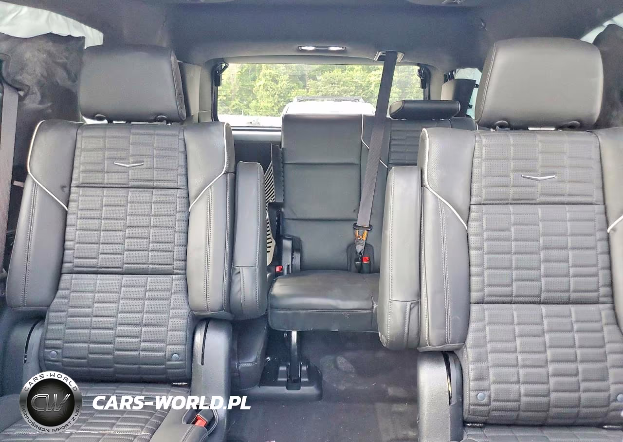 2023 Cadillac Escalade Sport Platinum VIN:1GYS4GKL4PR227737 - 10