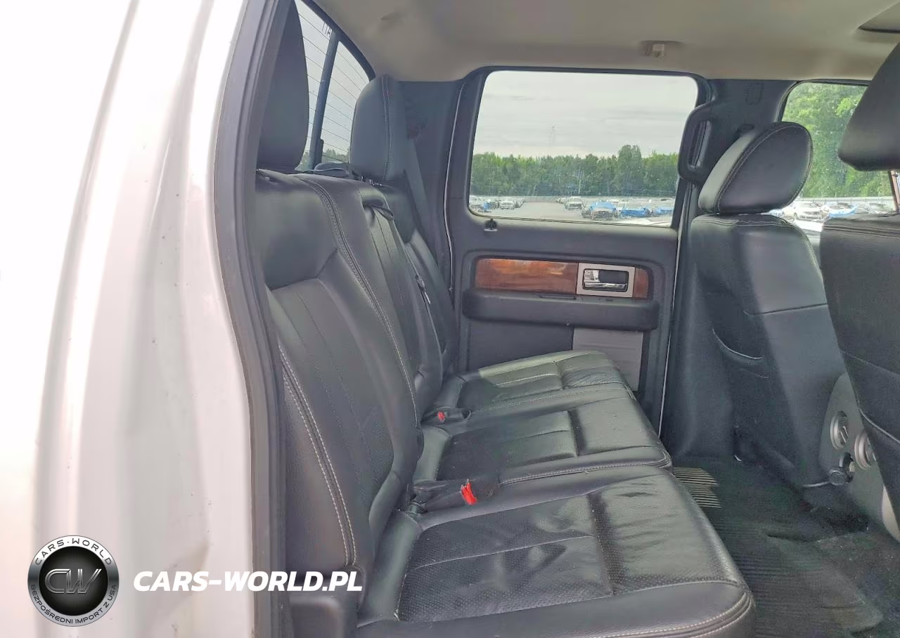 2010 Ford F150 Supercrew VIN:1FTFW1EV5AFD35885 - 10