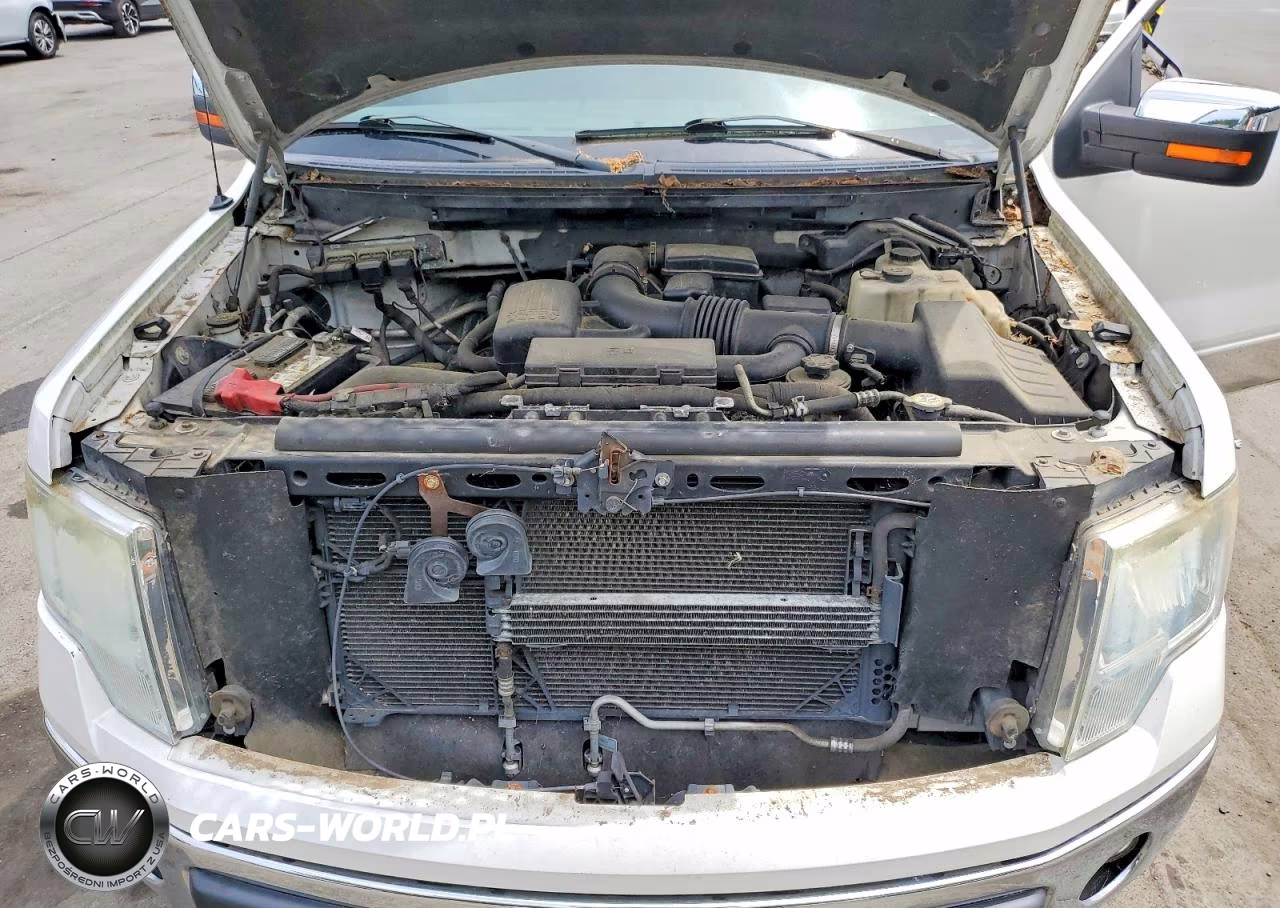 2010 Ford F150 Supercrew VIN:1FTFW1EV5AFD35885 - 11
