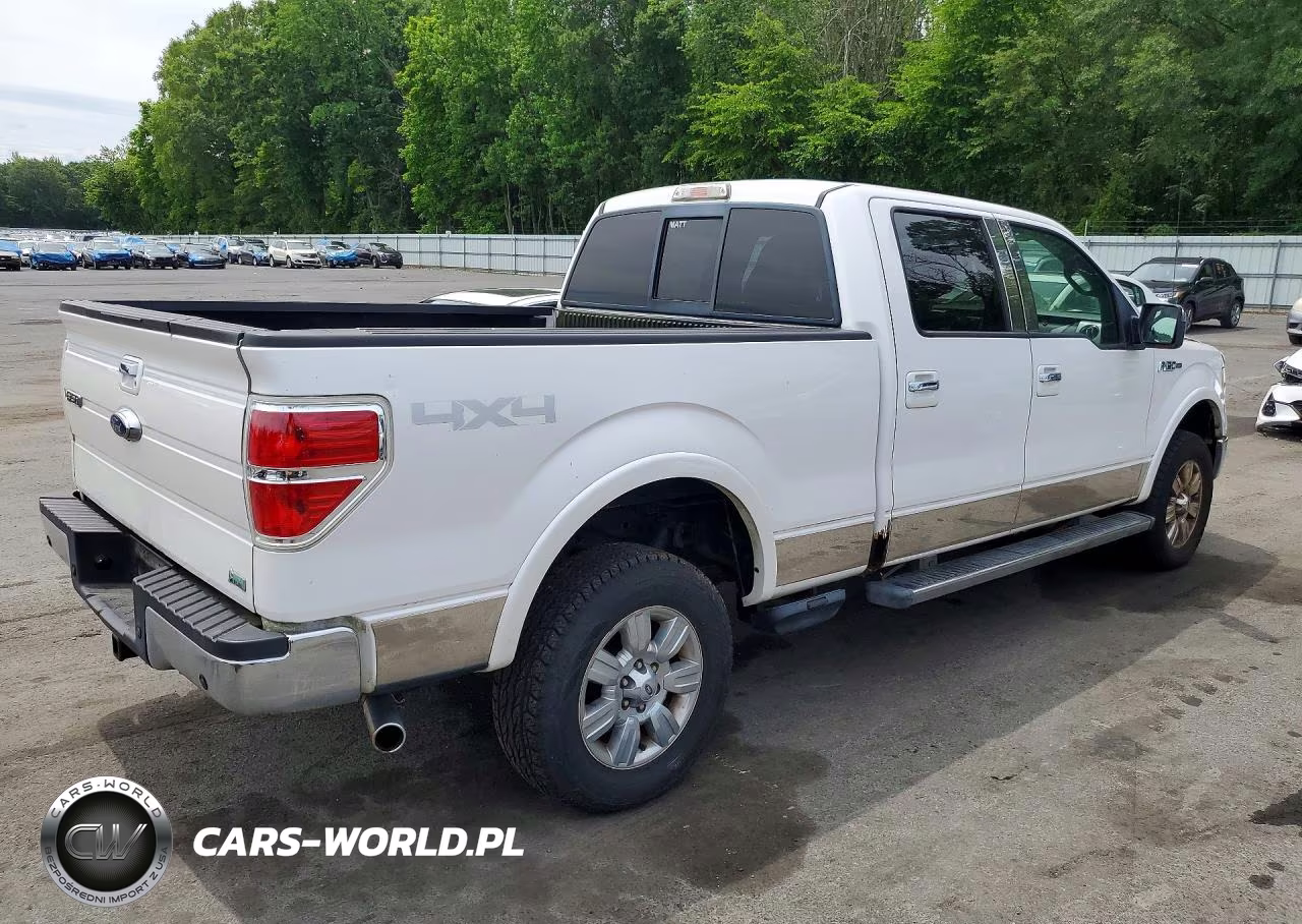 2010 Ford F150 Supercrew VIN:1FTFW1EV5AFD35885 - 3