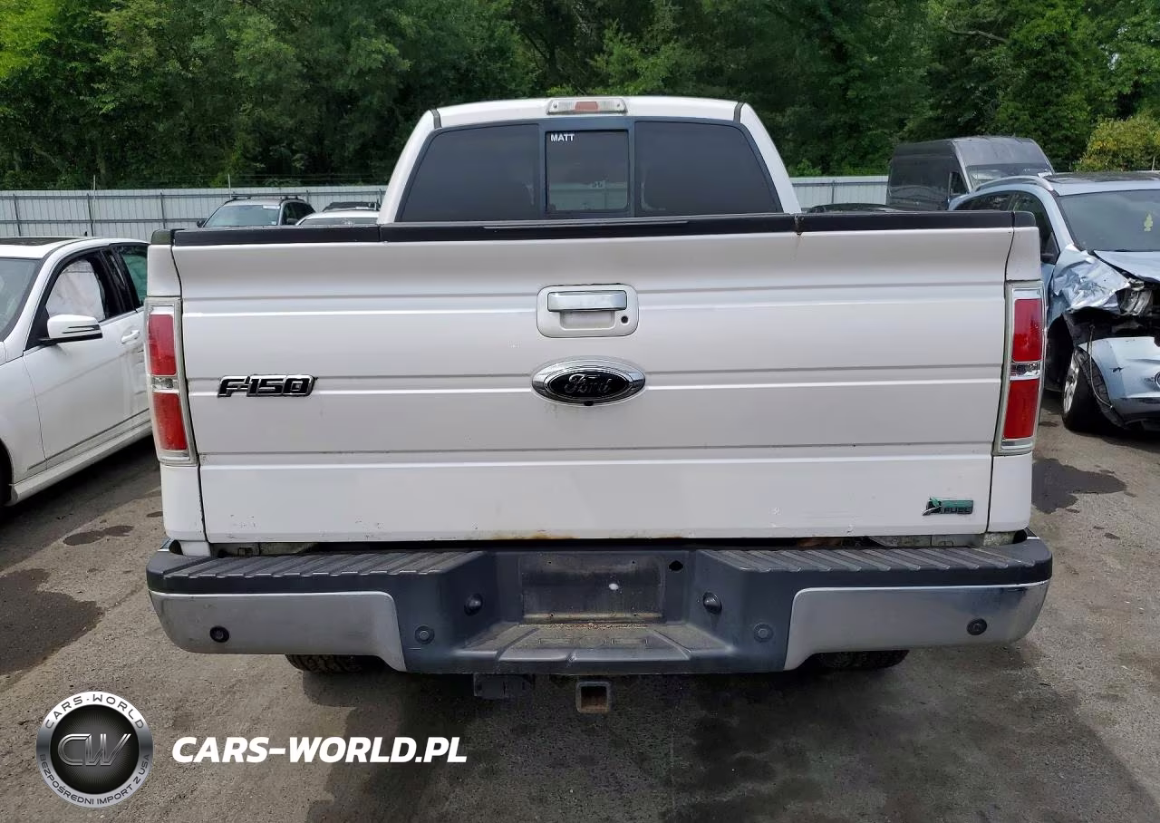 2010 Ford F150 Supercrew VIN:1FTFW1EV5AFD35885 - 6