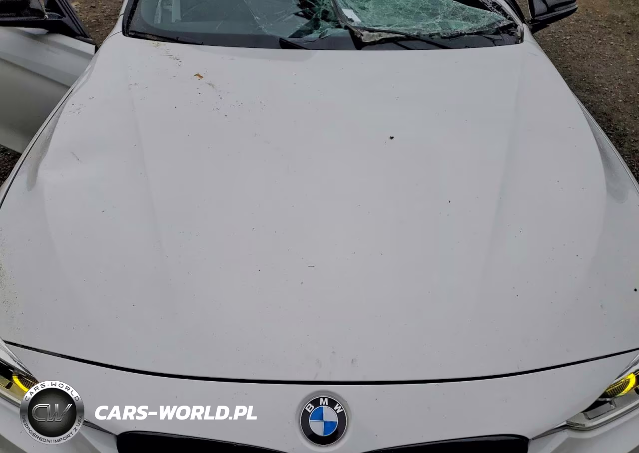 2018 BMW 330 Xi VIN:WBA8D9G50JNU69894 - 11